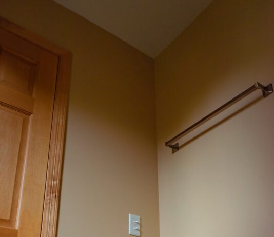 면역력 강화를 위한 장 건강의 중요성 white toilet paper roll on white toilet bowl