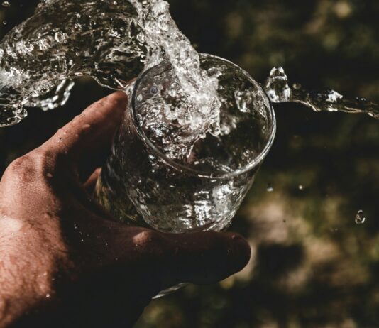 초여름, 건강 챙기는 5가지 팁 person holding drinking glass filled with water