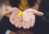 ‘마음챙김 걷기’, 일상 속 스트레스 해소법으로 주목 selective focus photography of woman holding yellow petaled flowers