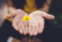 ‘마음챙김 걷기’, 일상 속 스트레스 해소법으로 주목 selective focus photography of woman holding yellow petaled flowers
