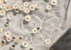 달라지는 웰니스 문화, 건강을 위한 생활 속 작은 변화가 주목받다 white and blue floral textile