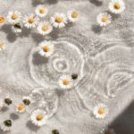 달라지는 웰니스 문화, 건강을 위한 생활 속 작은 변화가 주목받다 white and blue floral textile