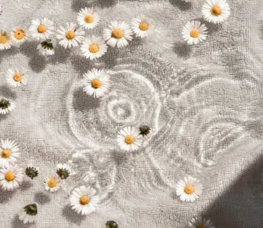 달라지는 웰니스 문화, 건강을 위한 생활 속 작은 변화가 주목받다 white and blue floral textile