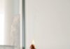 “나를 돌보는 일상, 웰니스 문화가 바꾸는 건강 트렌드” person holding orange flower in front of white wall